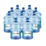 10 Recargas de Agua Purificada